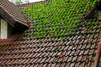 assurance-habitation-assu-2000