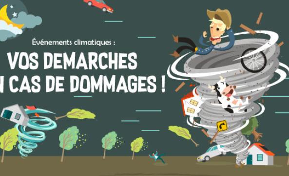 infographie-assu-dommages