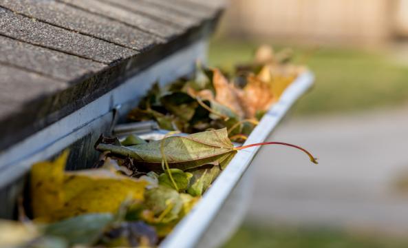 conseils-habitation-automne