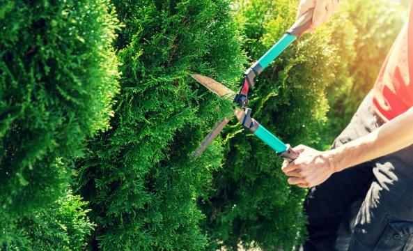 entretien-jardin-dangers