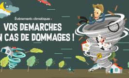 infographie-assu-dommages