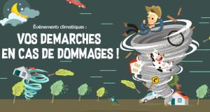 infographie-assu-dommages