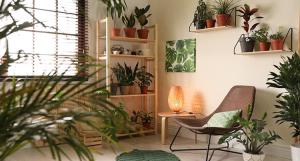 Un salon avec des plantes en pot disposées sur des étagères et sur le sol et à côté d'un fauteuil
