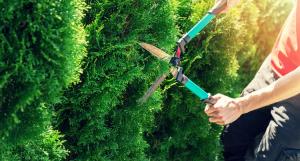 entretien-jardin-dangers